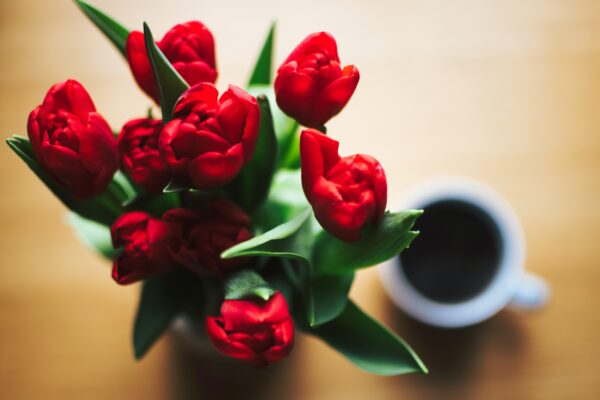 Liebe auf Distanz: Blumen verschicken